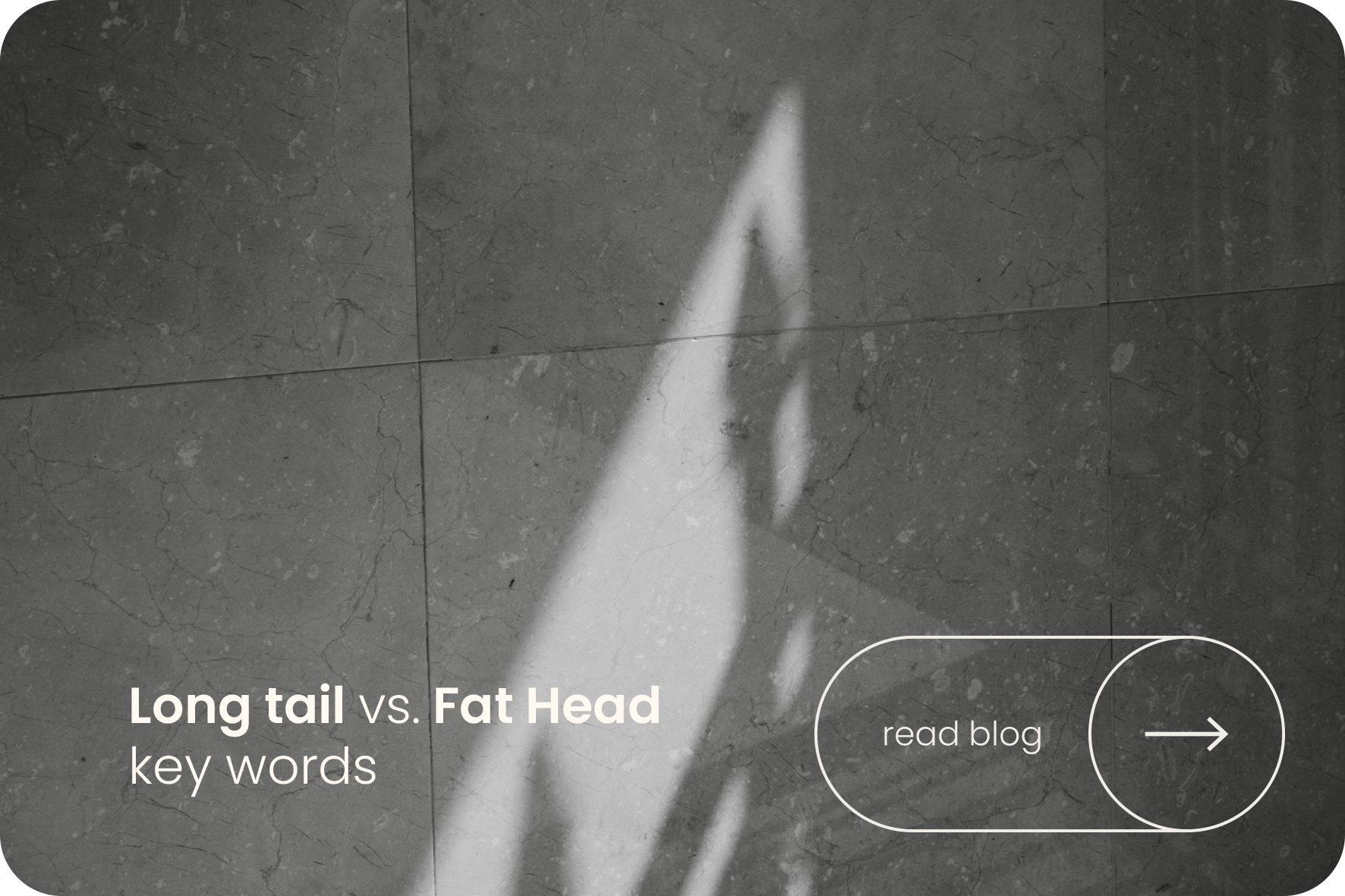 Long tail vs fat head keywords